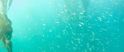 DSC 1549