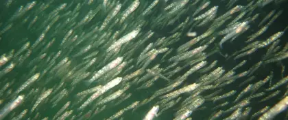 19 01 08 17 43 11