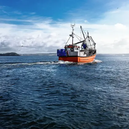 Ocean Fish Group Fishing Boat scaled